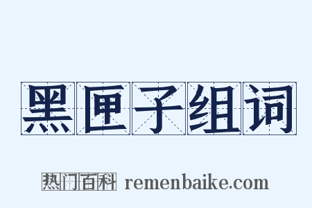 黑匣子组词是什么意思的图片